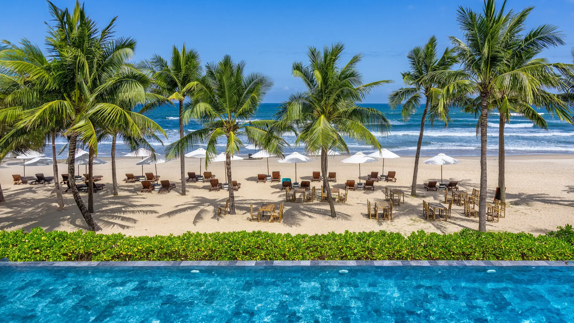 Palms and bright sand at My Khe Beach in Da Nang