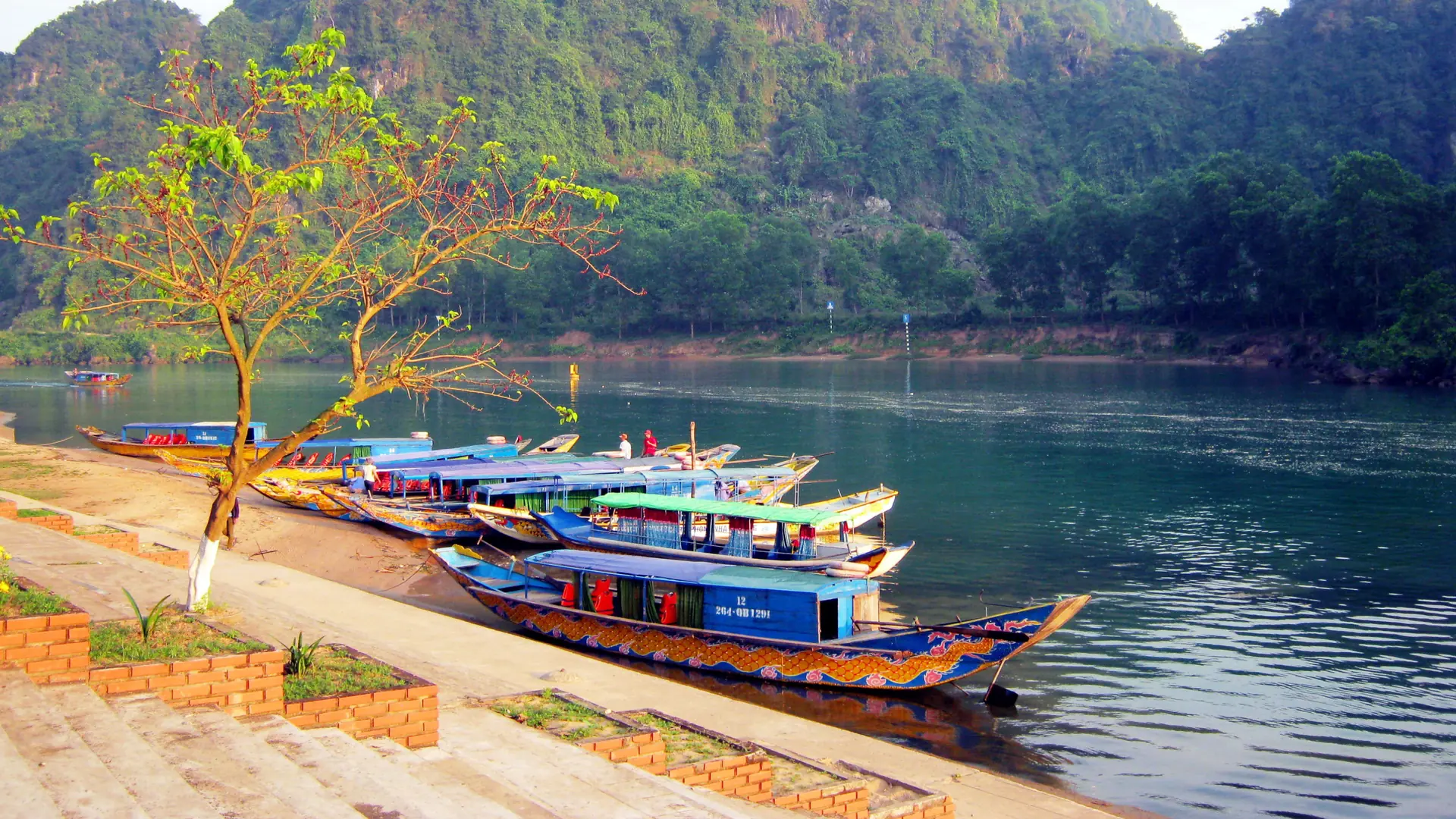 Colourful passenger boats moored at the Son River cave-visit pier beneath a limestone hill