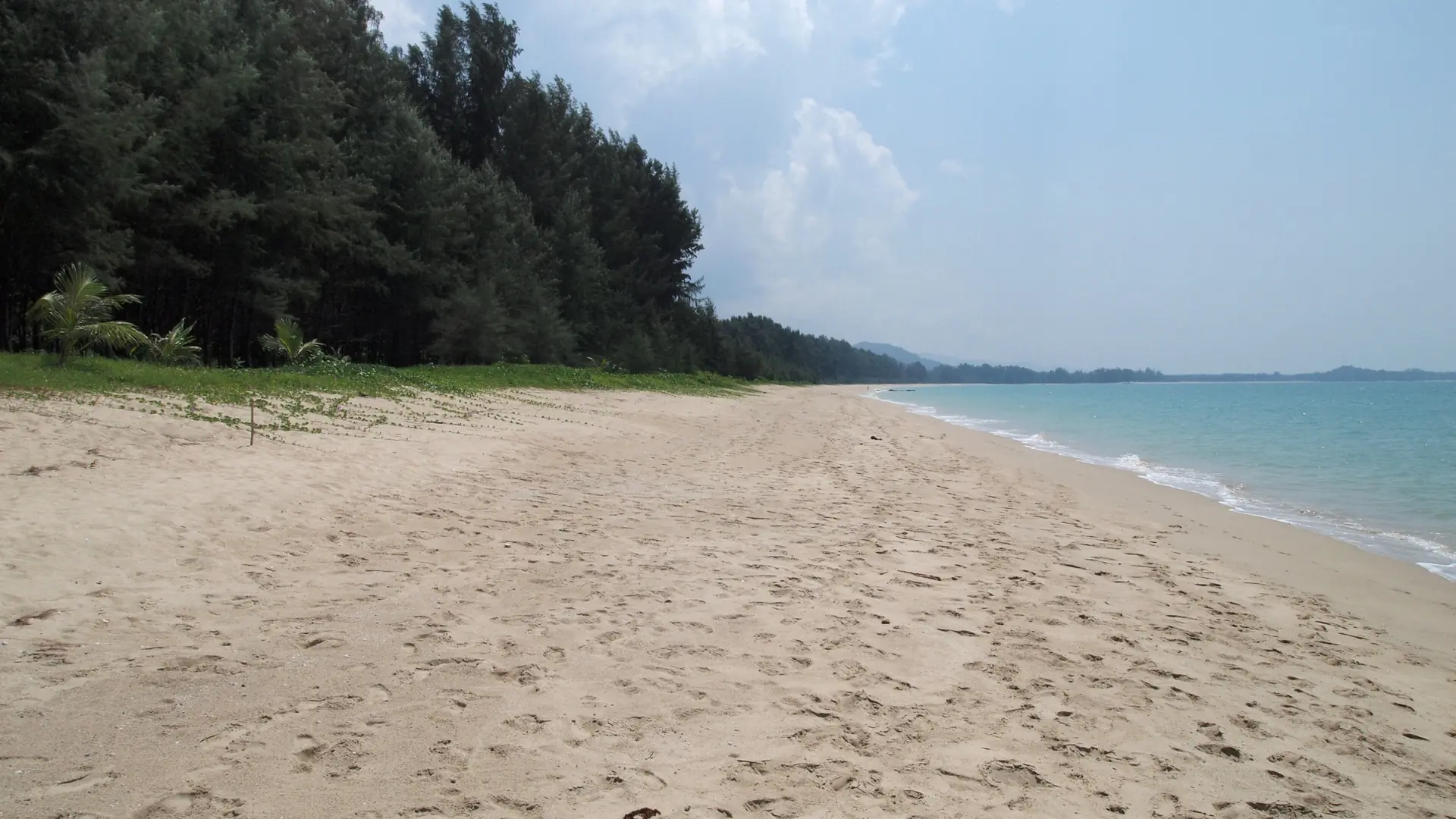 Khao Lak's forested coast meeting a quiet strip of Andaman sand