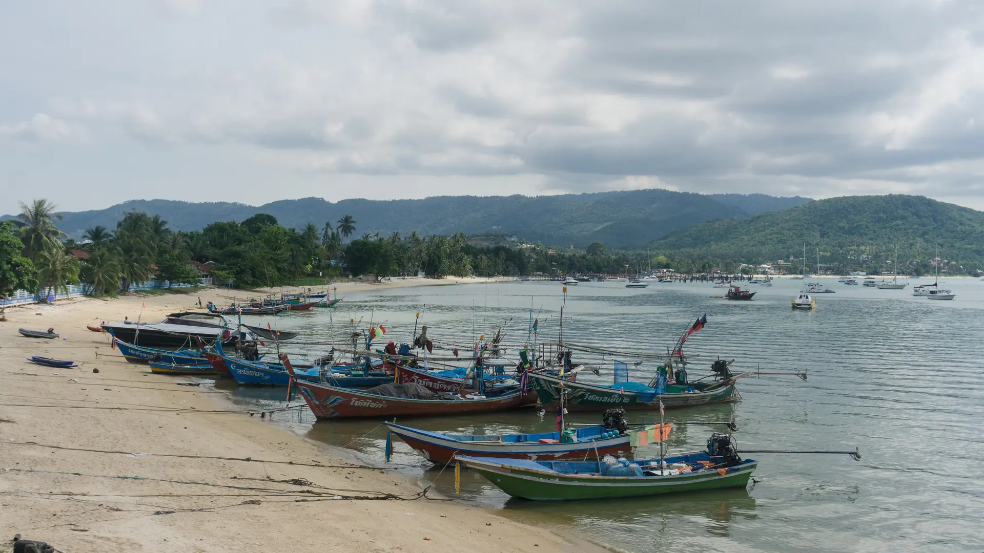 Tropical shoreline and calm Gulf water on Koh Samui's north coast
