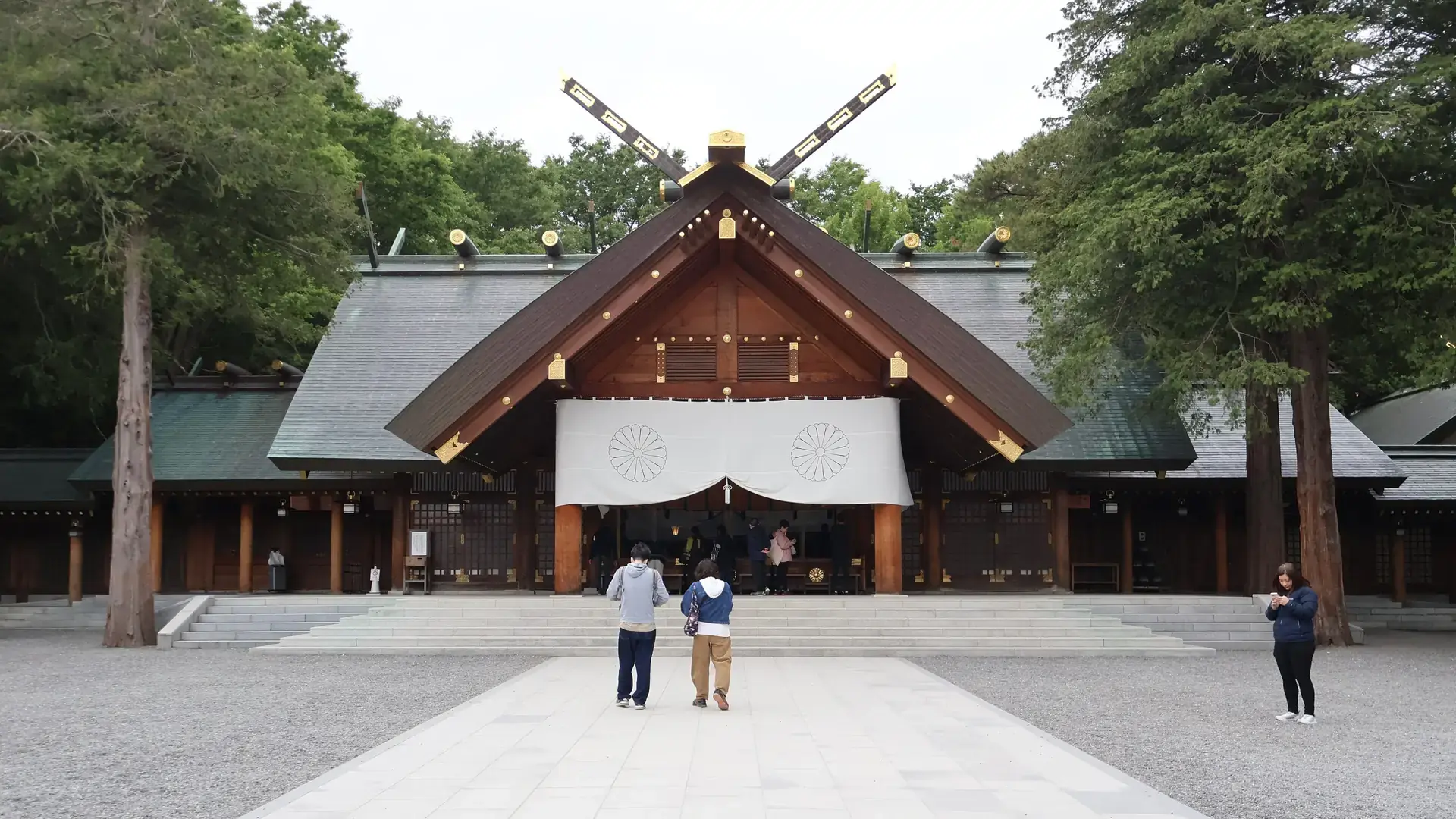 Hokkaido Shrine's timber hall and open courtyard in green Maruyama Park