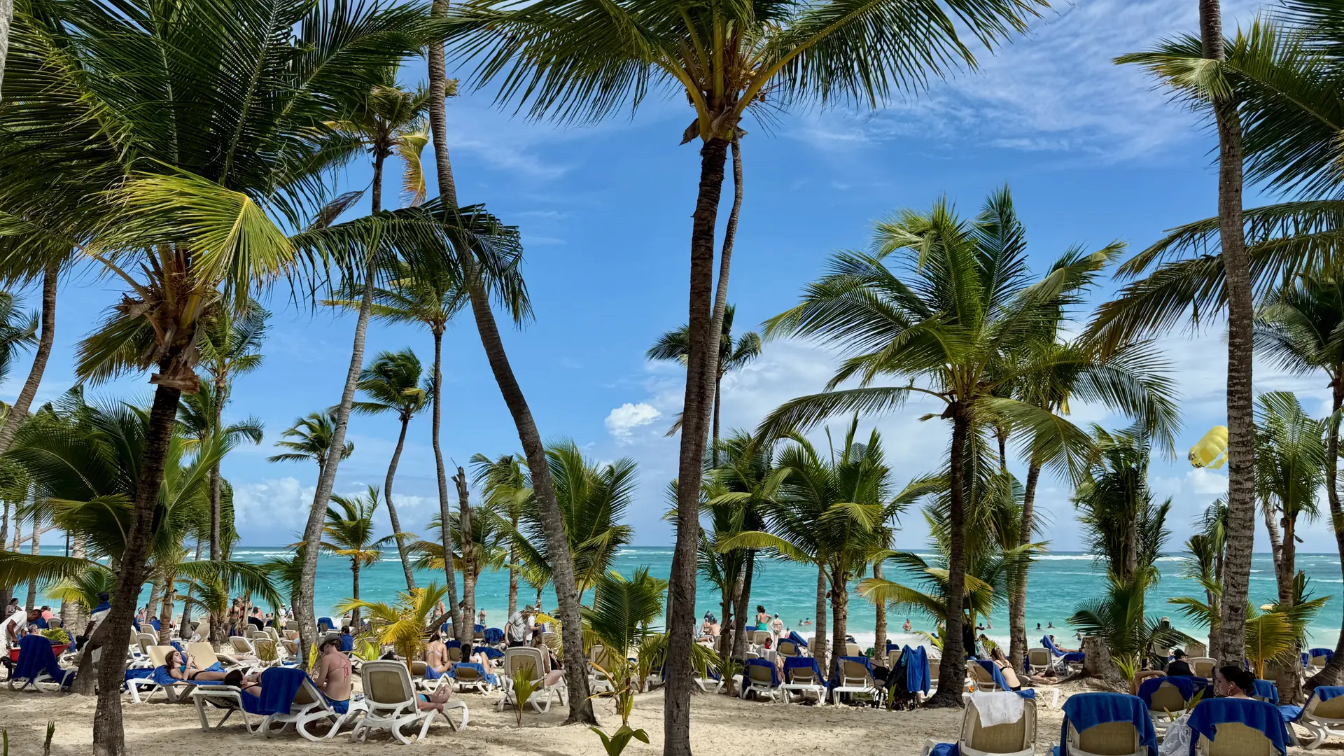 Sunny Bávaro Beach with palms, loungers and blue water near Punta Cana