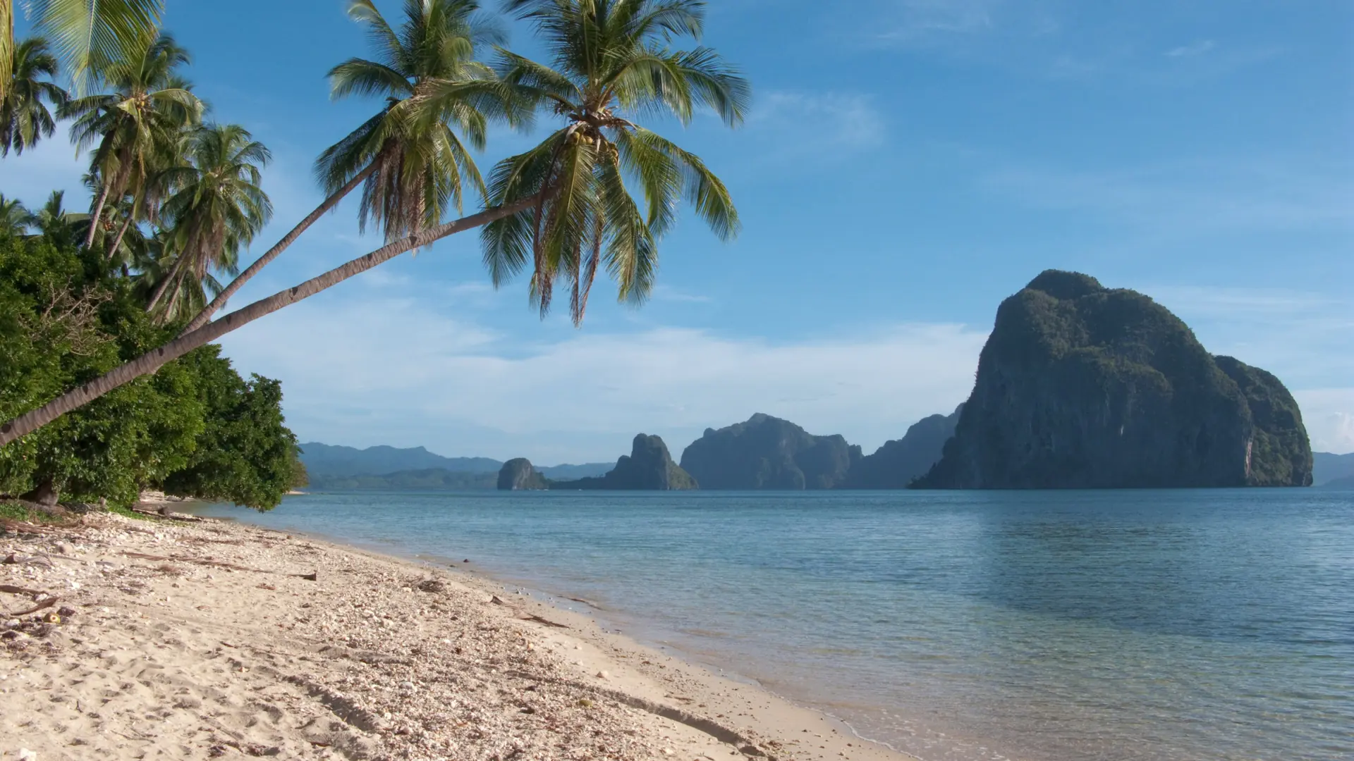 Coconut palms leaning over pale sand at Corong-Corong Beach, El Nido, with limestone islands across the bay