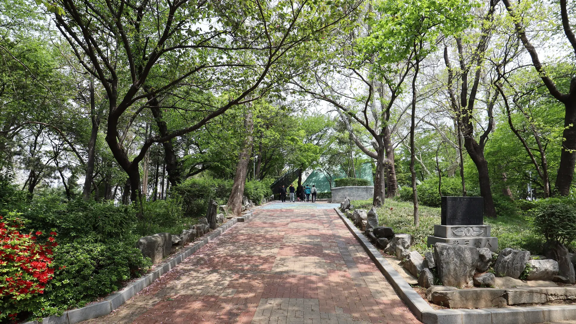 A tree-lined walking path with spring flowers in Jayu Park above Incheon Chinatown