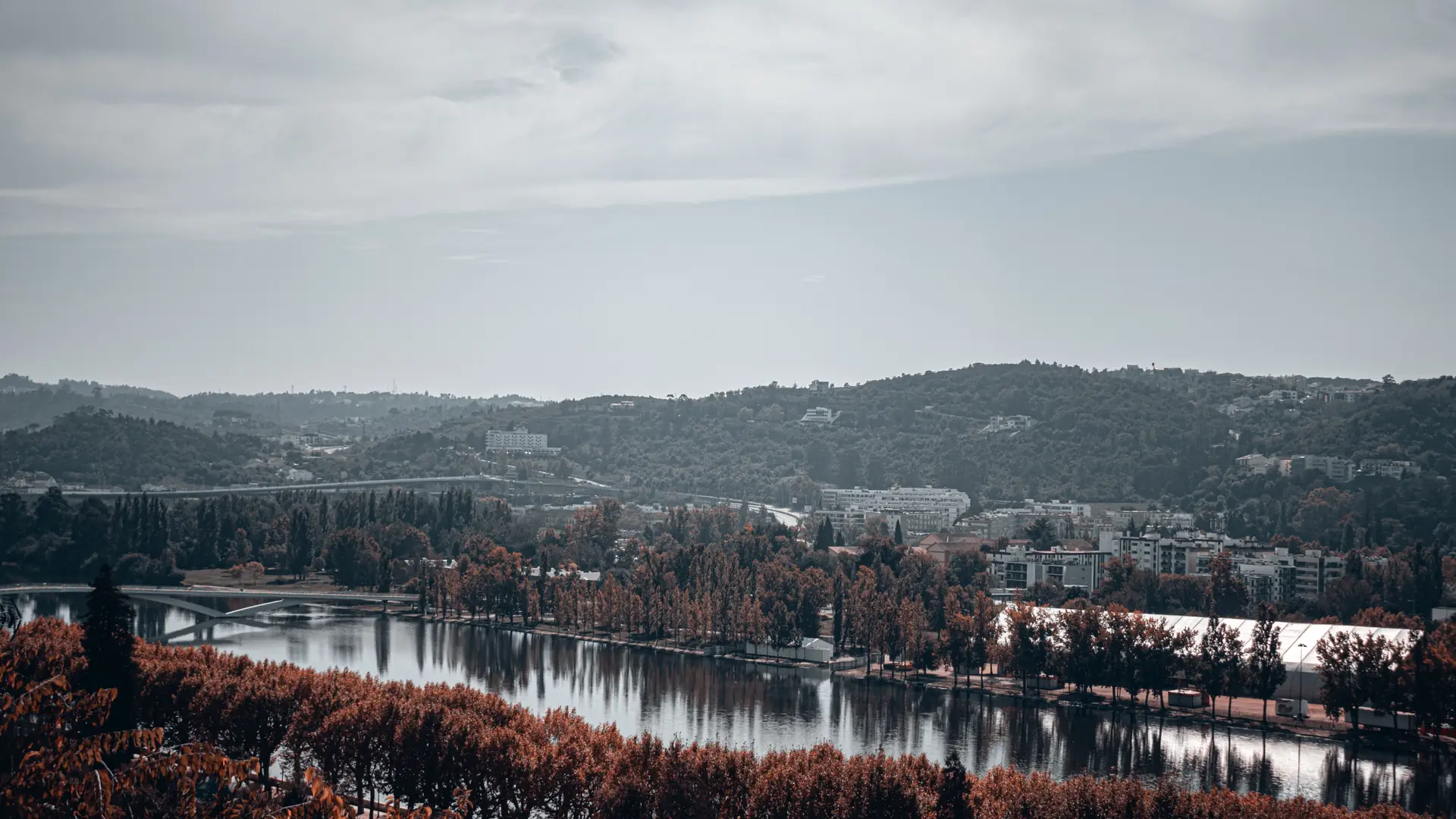 Autumn trees, the Mondego River and Coimbra’s cityscape from across the water