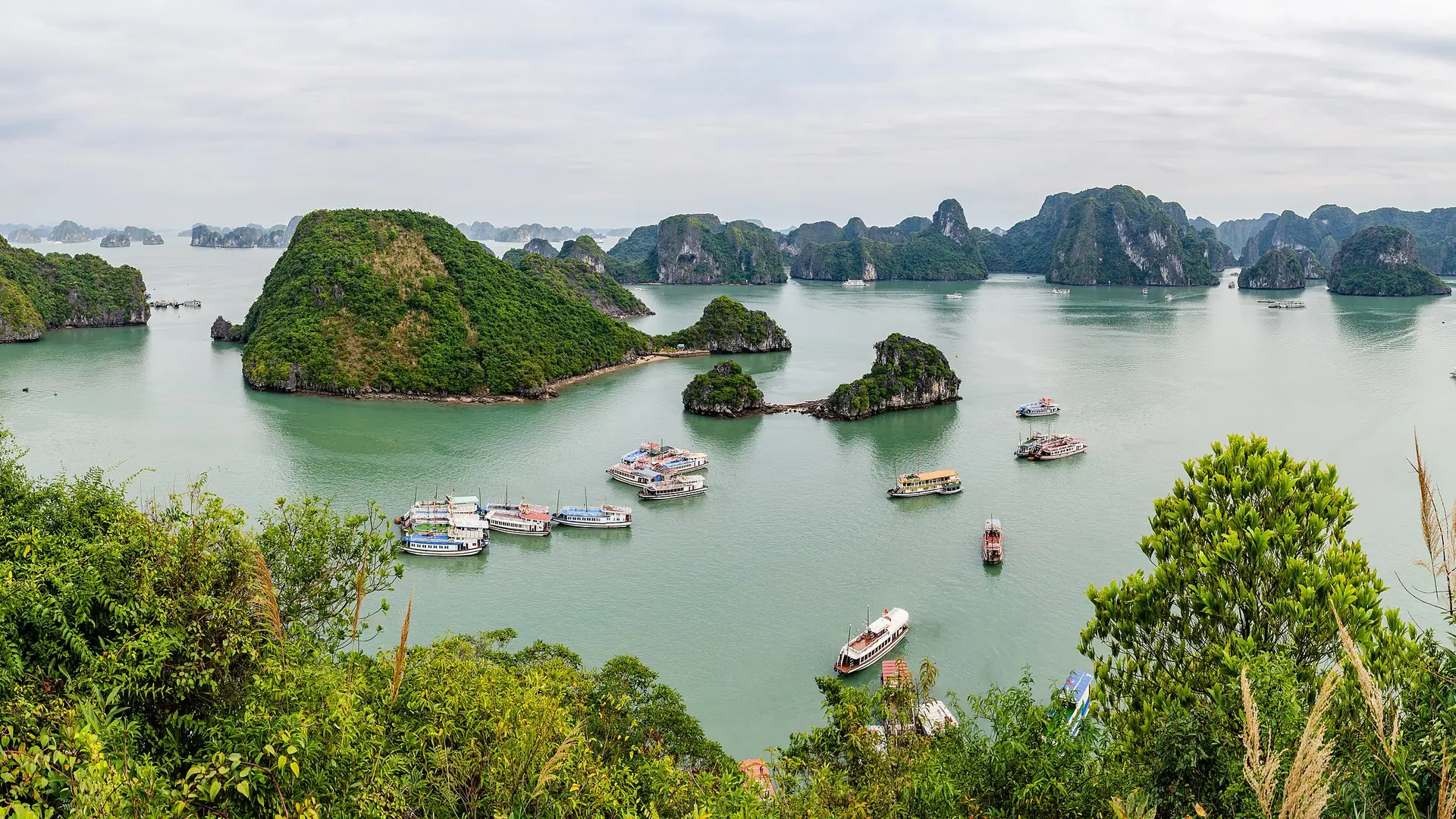A broad view over Ha Long Bay and its green limestone islands from the Ti Top viewpoint