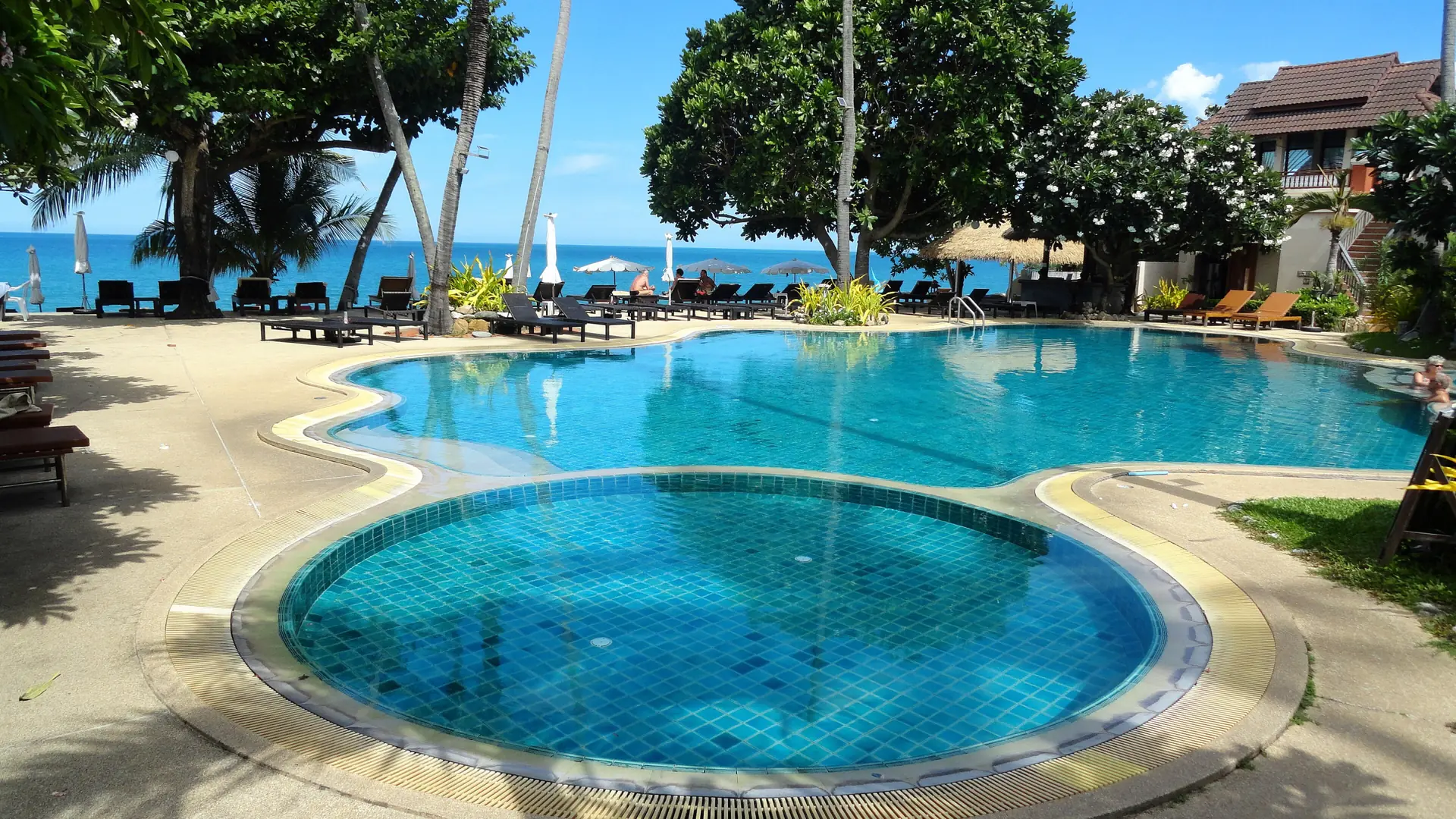A beachfront pool beneath palms at Lamai in wider Koh Samui, rather than Chaweng