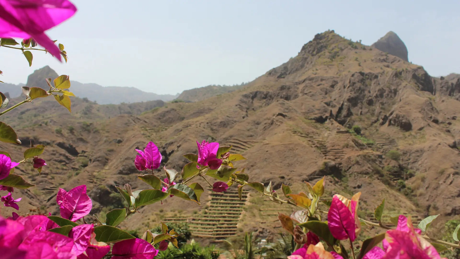 Mountain slopes and flowering bougainvillea on Santo Antão