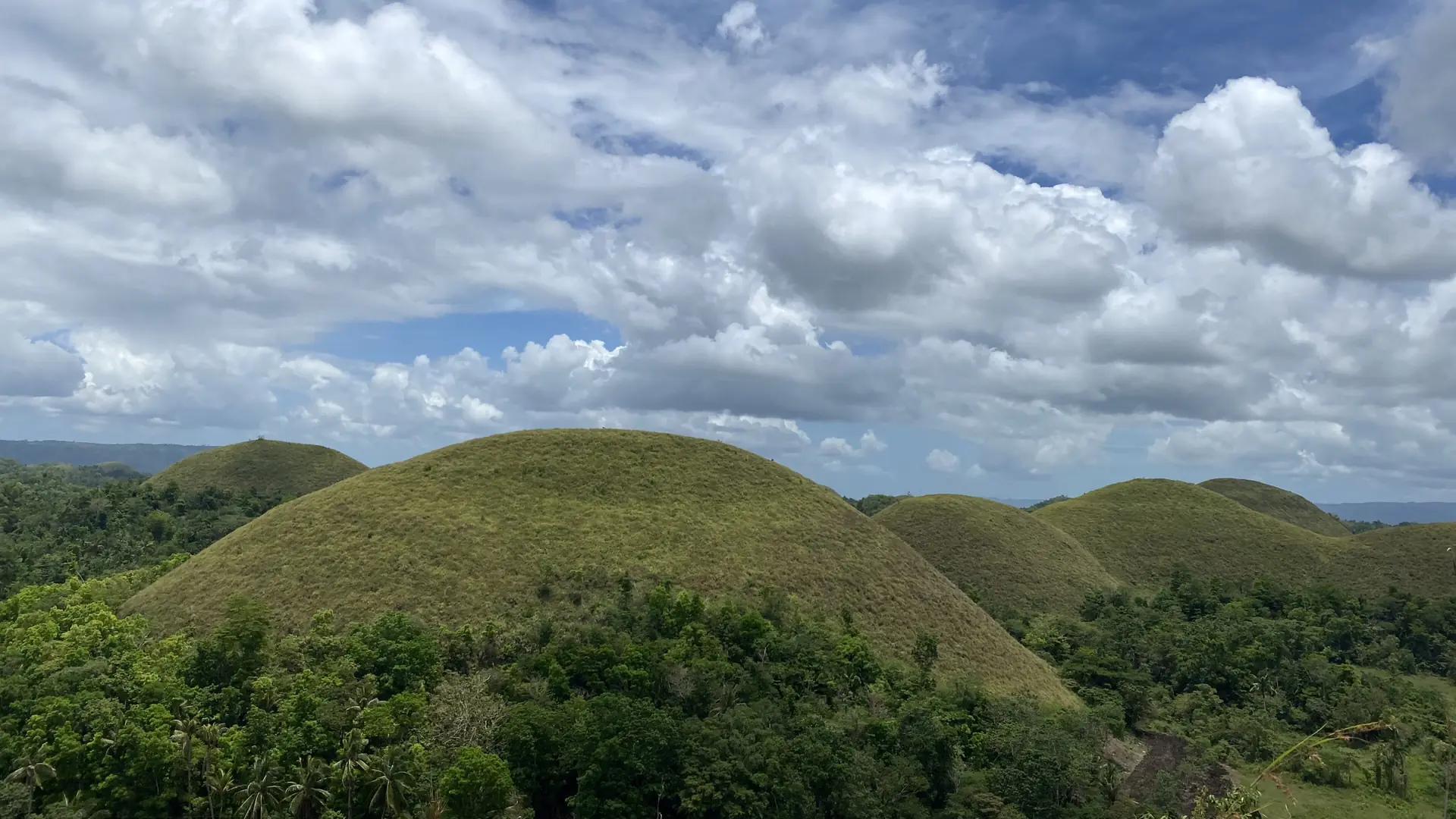 Rounded green Chocolate Hills scattered across the forested landscape near Carmen, Bohol
