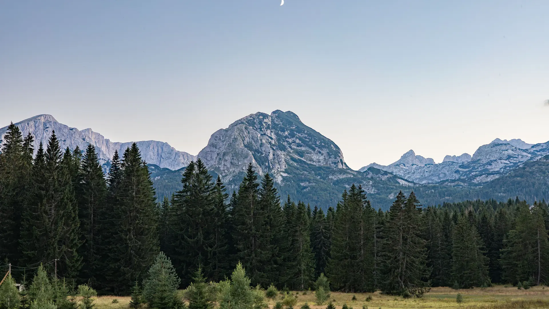 Durmitor peaks above evergreen forest near Žabljak in daylight