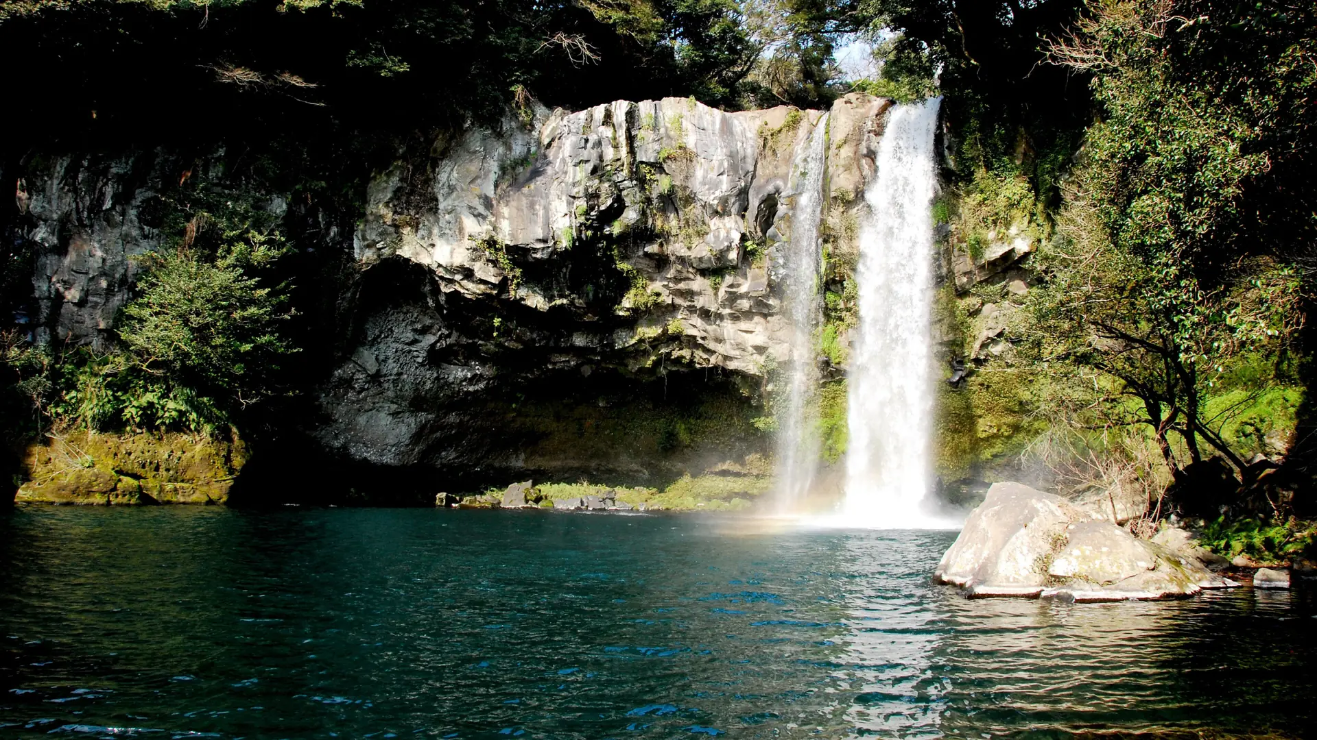 Cheonjiyeon Waterfall cascading into a turquoise pool through a forested cliff near Seogwipo, Jeju, in bright sunlight