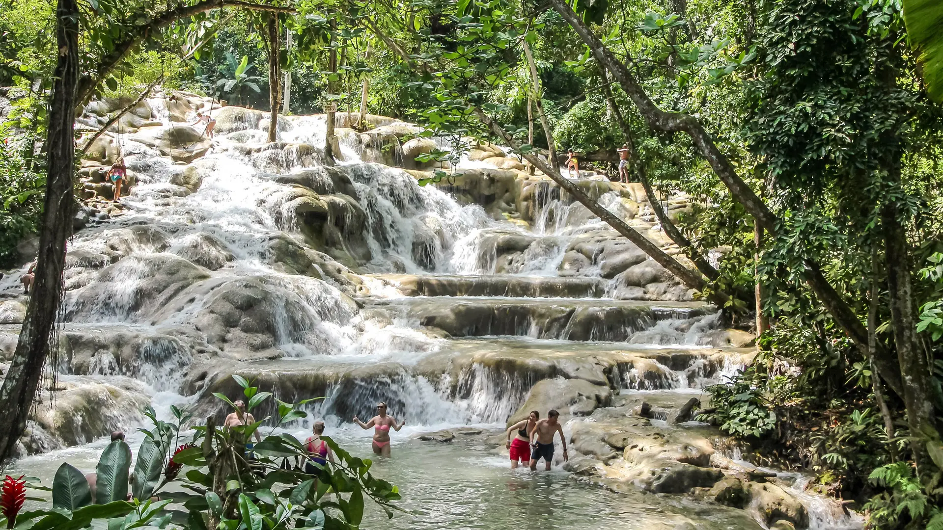 The terraced cascades of Dunn’s River Falls near Ocho Rios