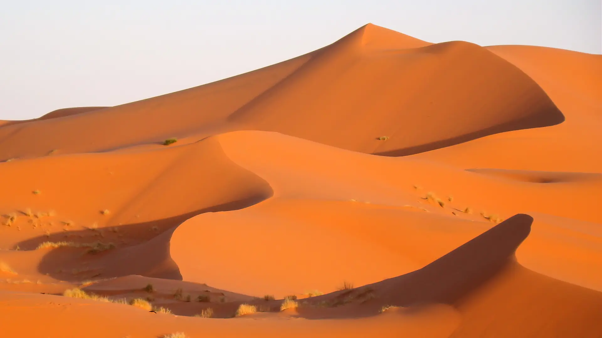 Orange Erg Chebbi dune near Merzouga in clear daylight