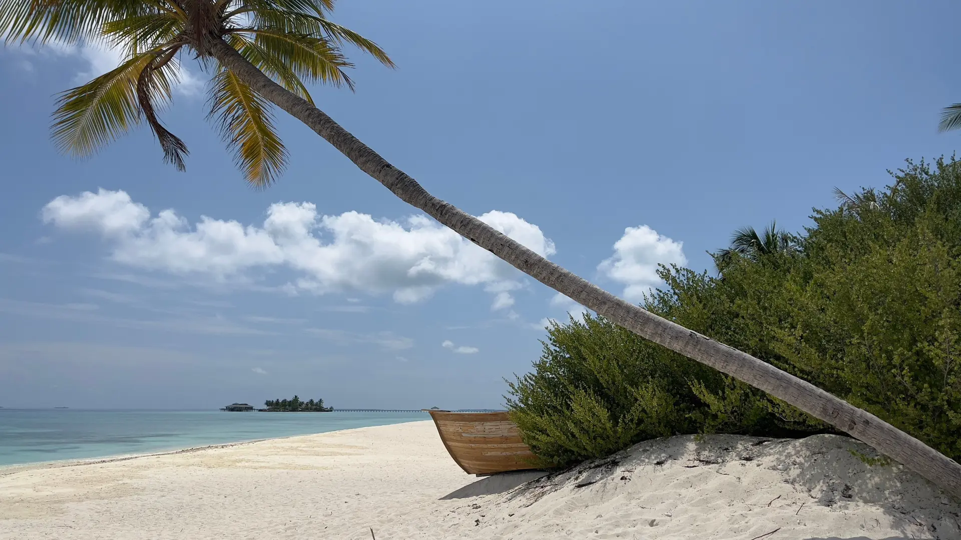 Sunny palm-fringed beach in Alifu Dhaalu Atoll, the wider region around Dhigurah