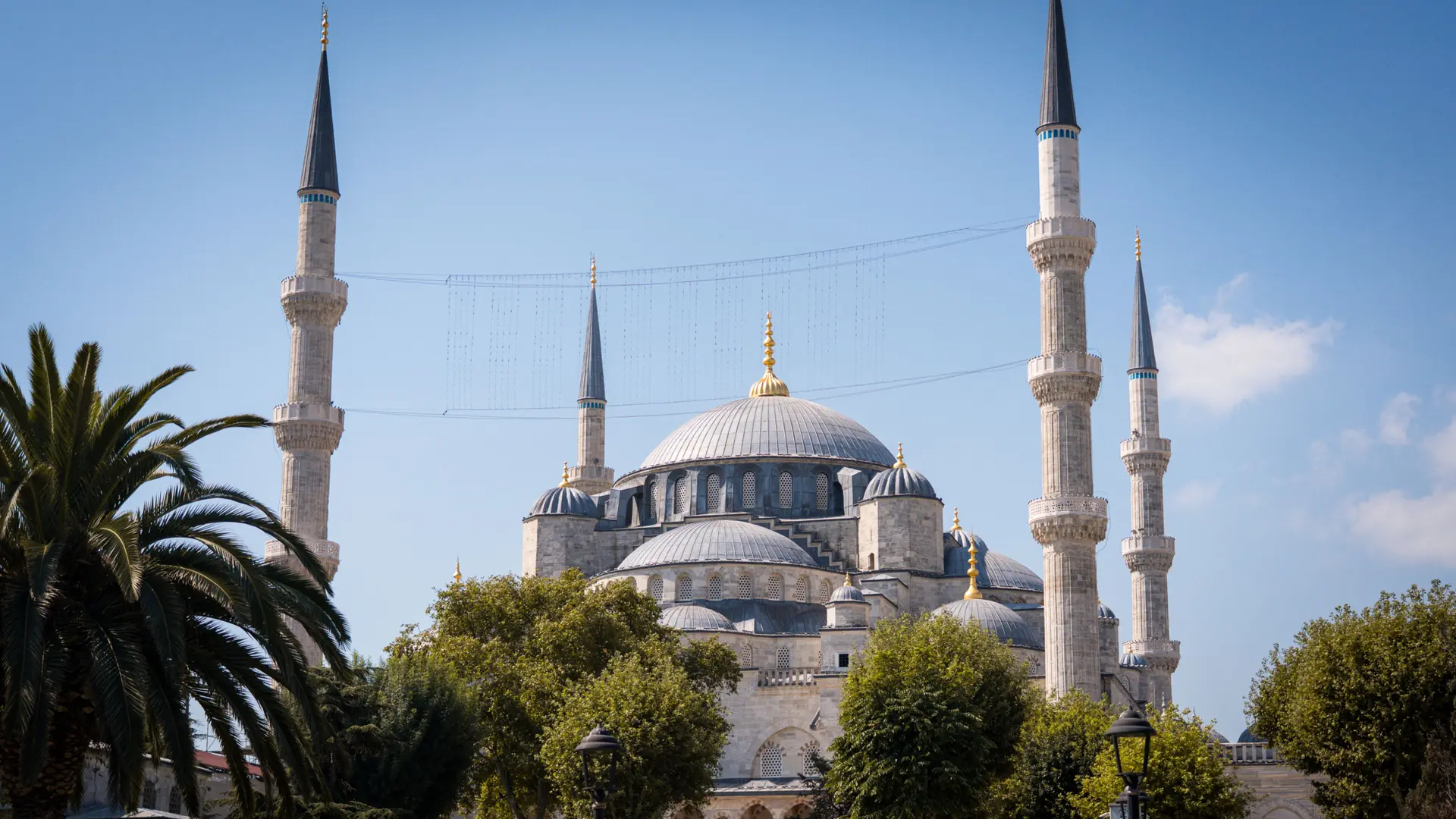 Blue Mosque domes and minarets rising above palms beneath a bright Istanbul sky