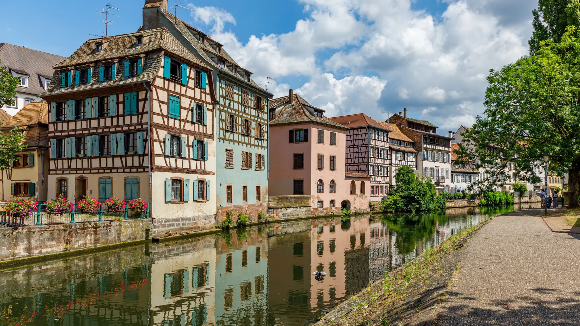 Sunlit half-timbered houses with green shutters reflected in a Petite France canal in Strasbourg