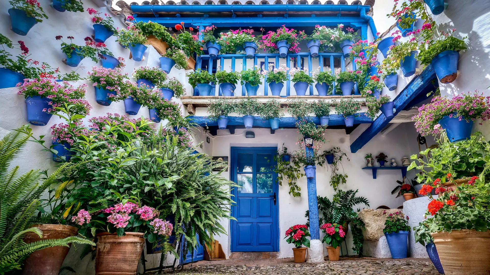 Blue wooden gallery, flowerpots and white walls at the patio of San Juan de Palomares 11, Córdoba