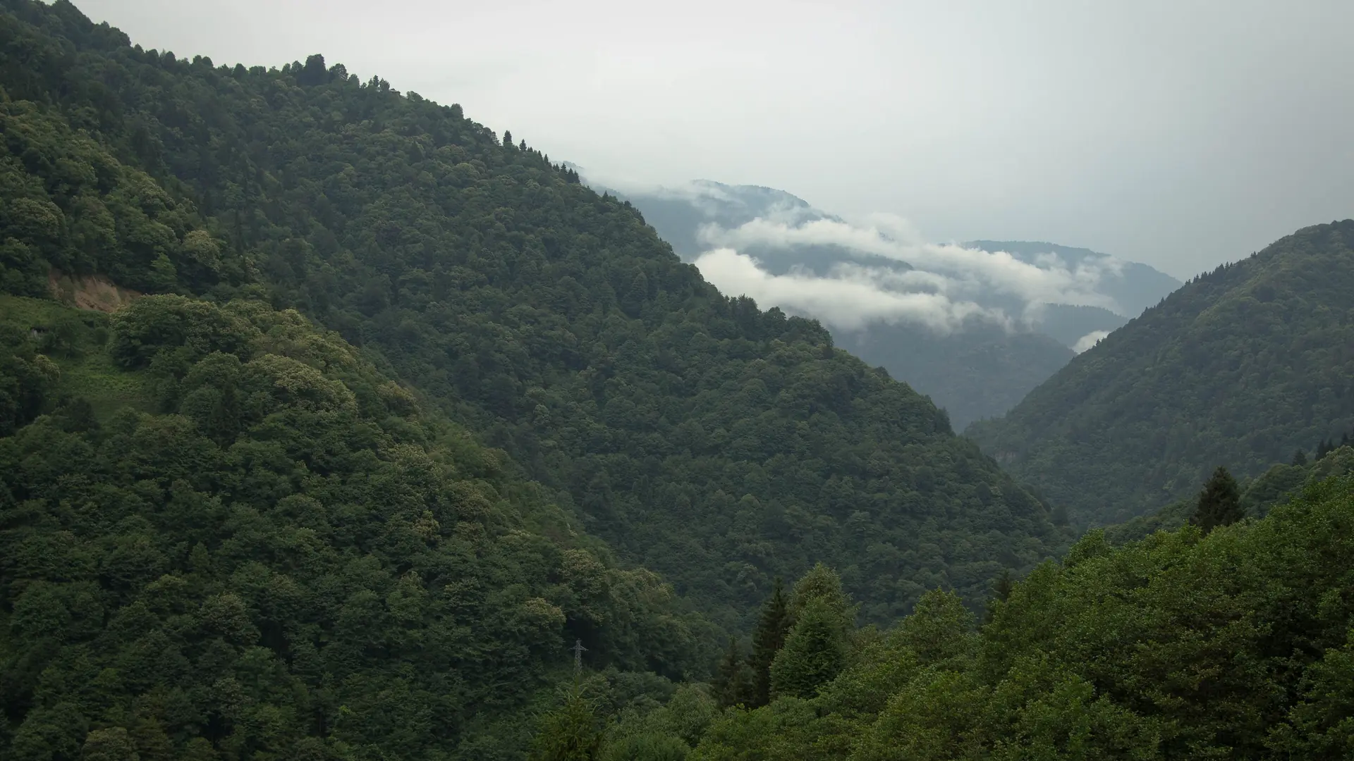 Deep forested valley in Çamlıhemşin beneath low Black Sea cloud