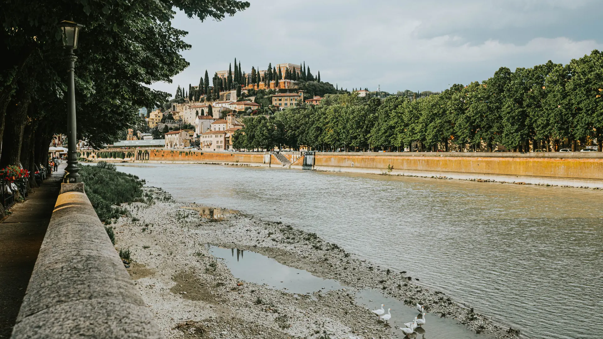 a leafy Adige riverside promenade in Verona with Castel San Pietro hill beyond