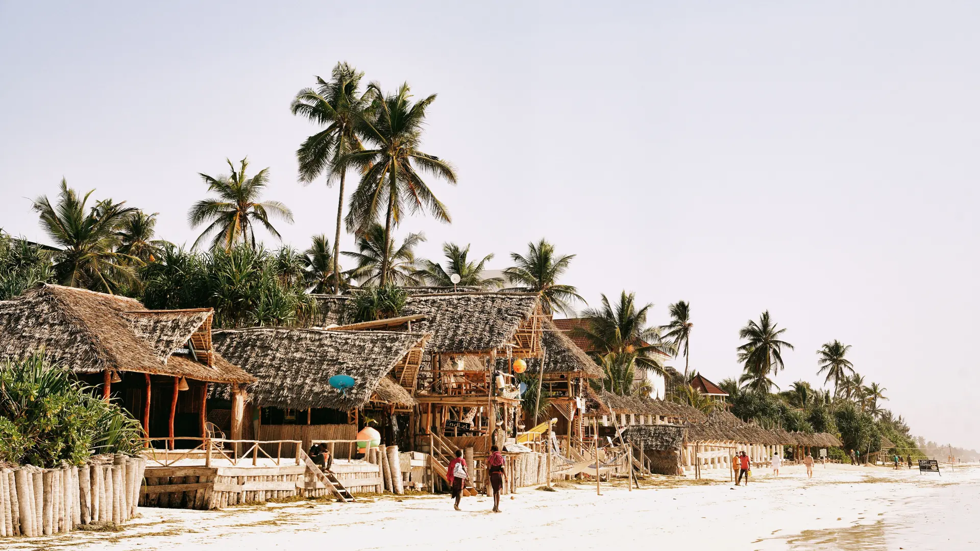 Palm-lined beach huts on Zanzibar Island
