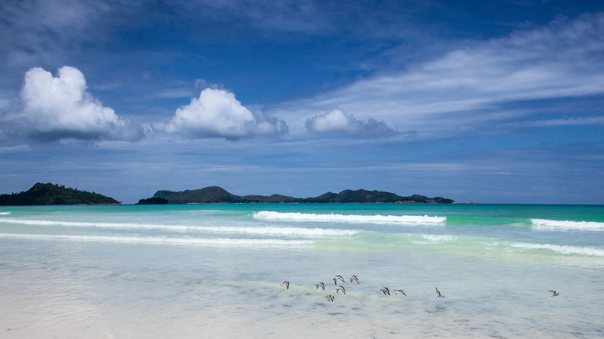 Birds above white surf and turquoise water at Anse Possession on Praslin