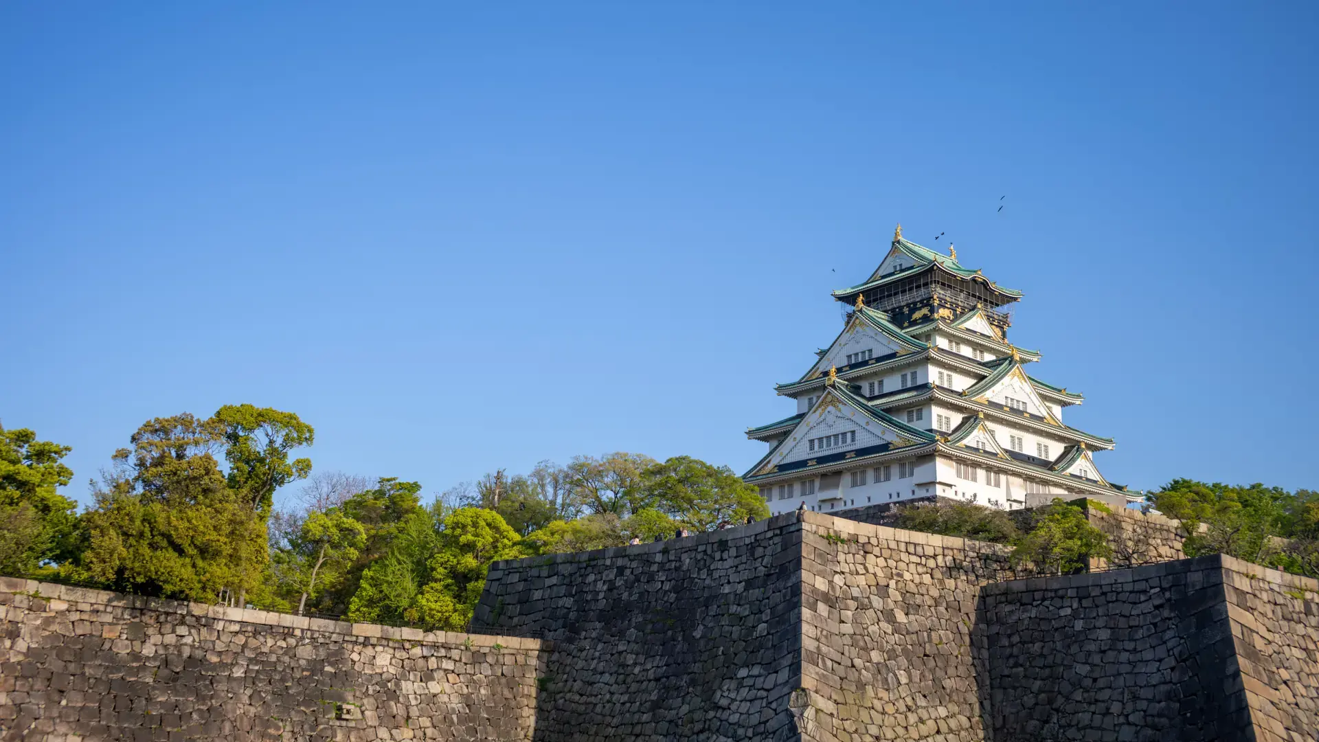 Osaka Castle glowing white and green above sunlit stone walls and cherry trees