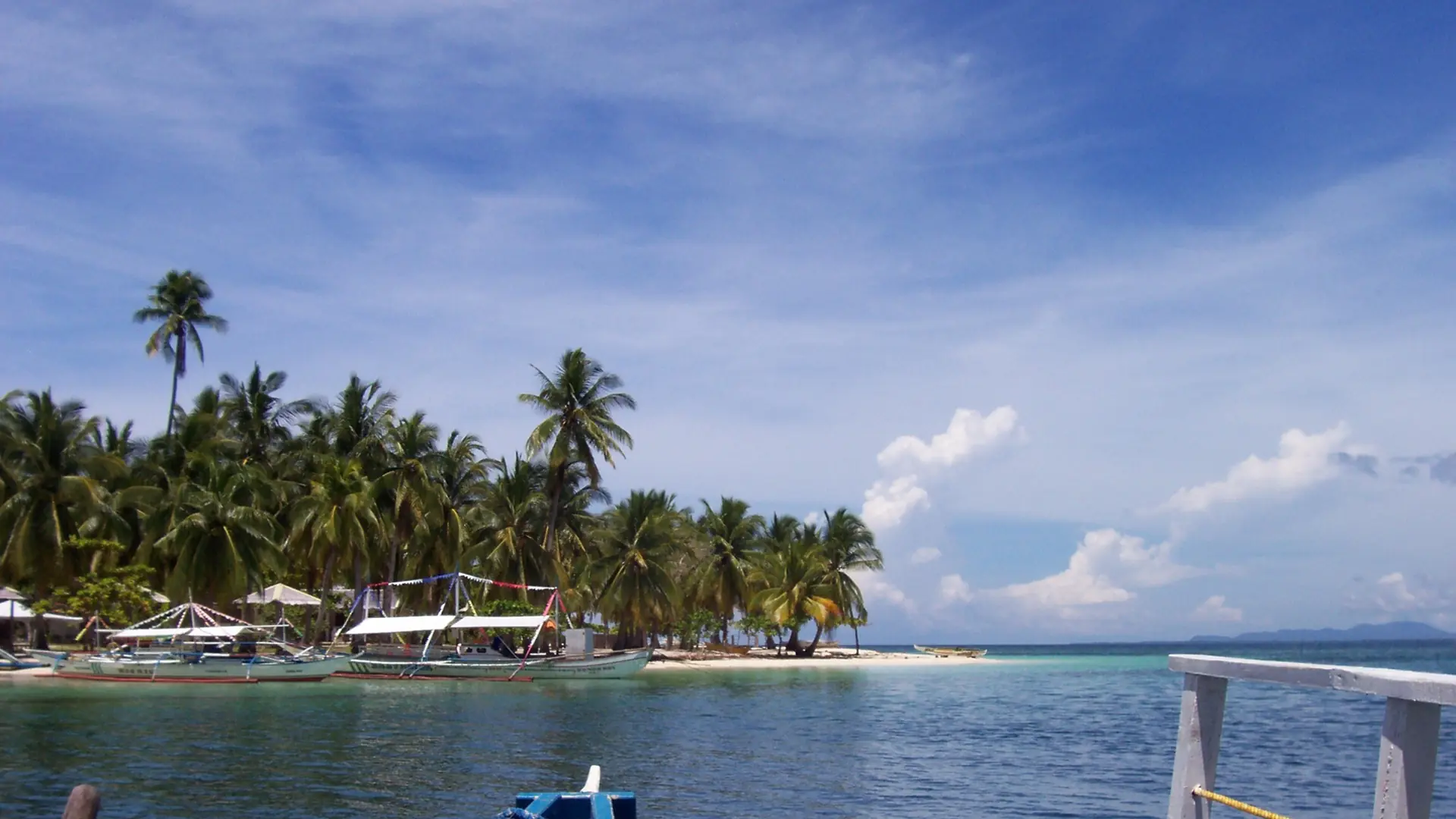 Outrigger boats and palm trees beside pale sand and blue water in Honda Bay, Puerto Princesa