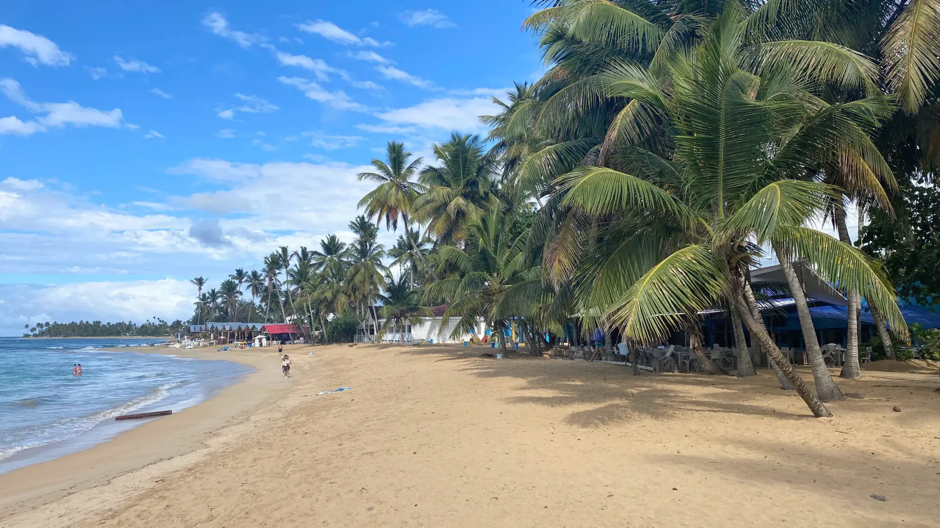 Bright Las Terrenas waterfront with palms and a central sandy beach