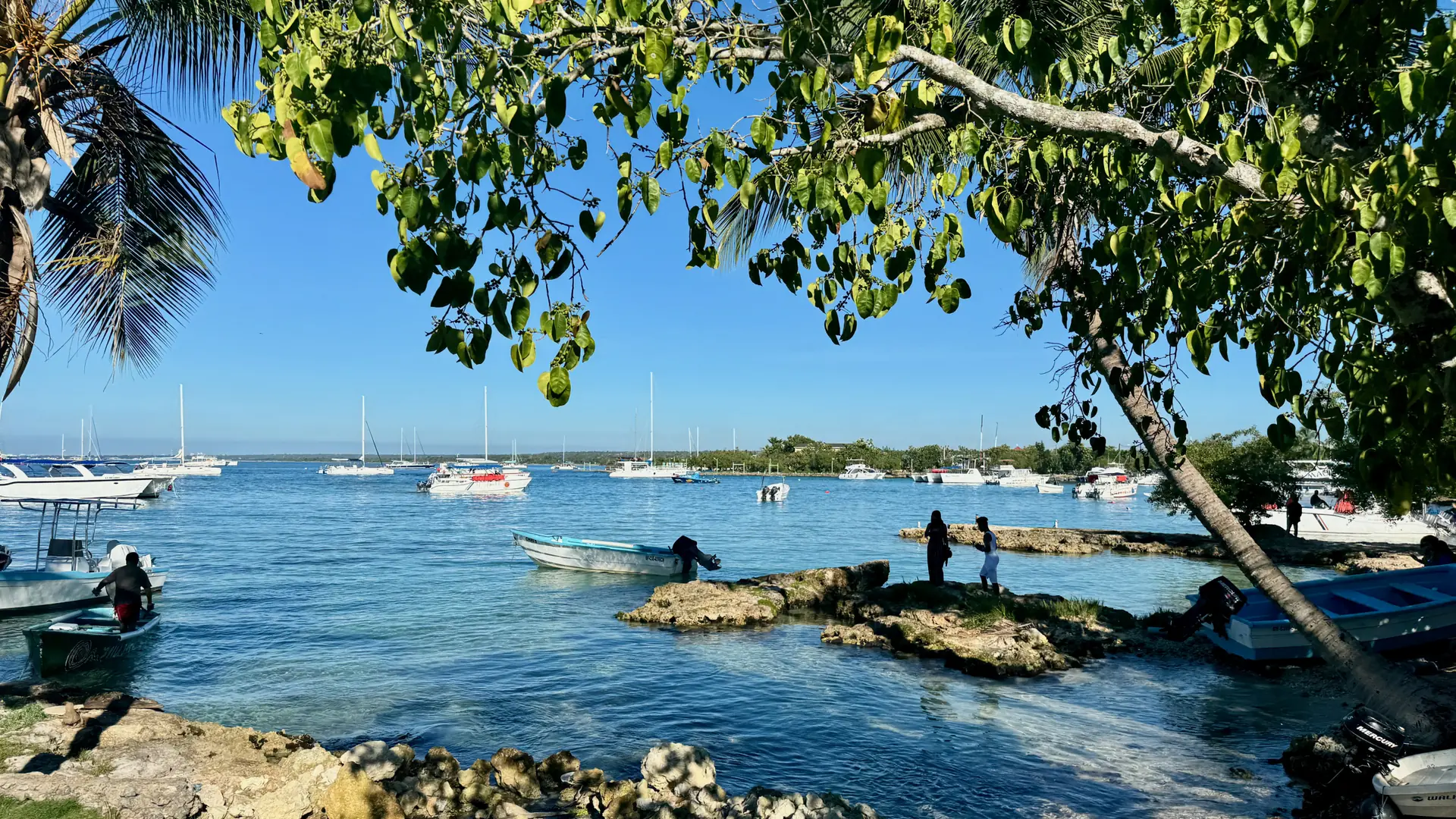 Sunlit Bayahíbe waterfront with trees, small boats and blue water