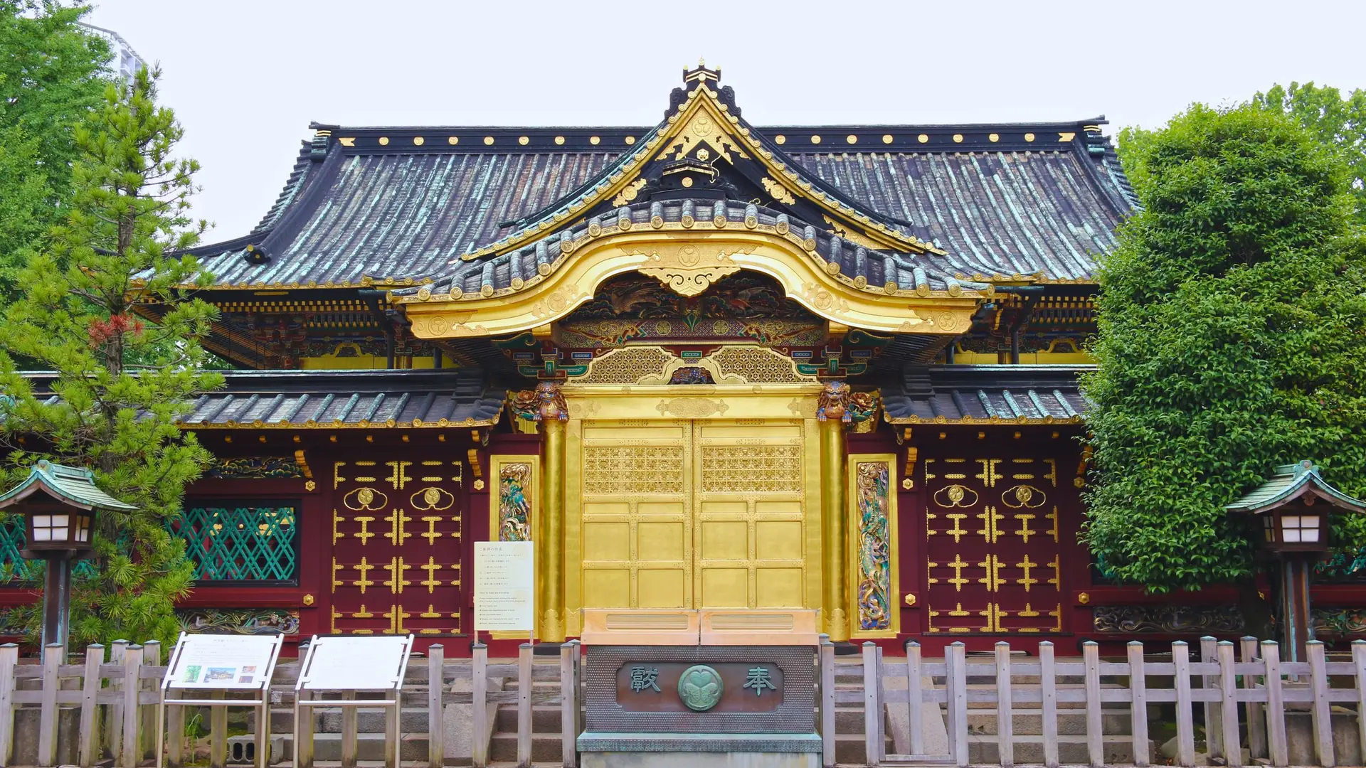 Gold Karamon gate at Ueno Toshogu Shrine, framed by green trees in Tokyo’s Ueno Park