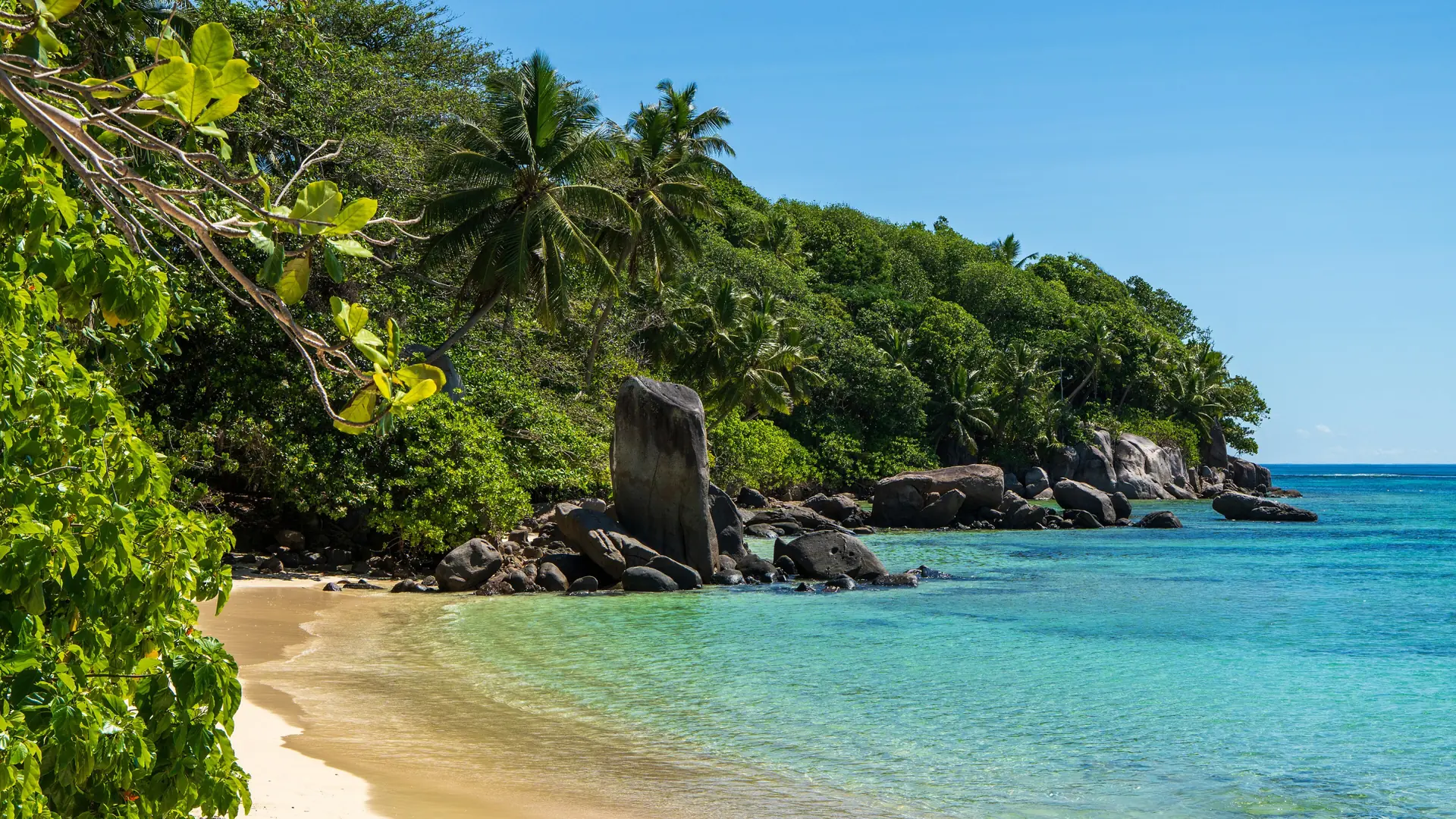 Curving sand, granite boulders and turquoise water at Anse Royale on Mahé