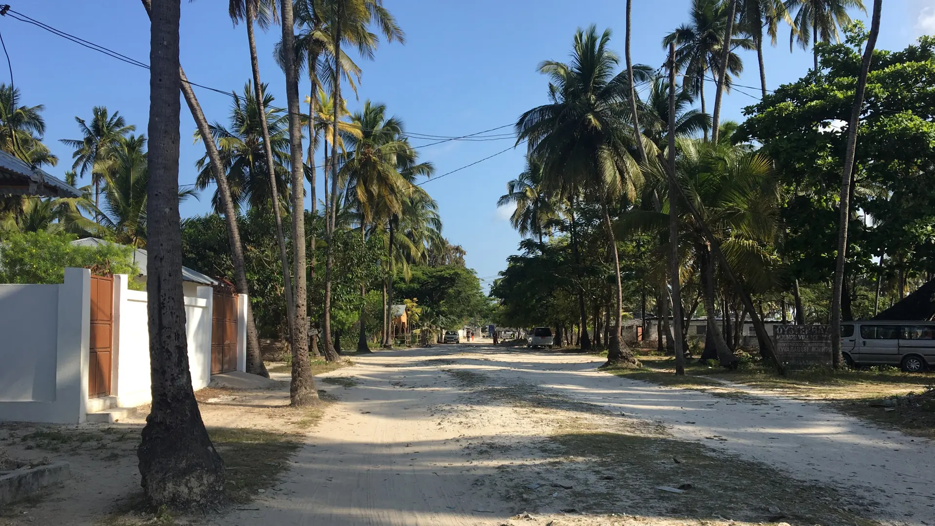 Palm-lined village road in Jambiani, Zanzibar
