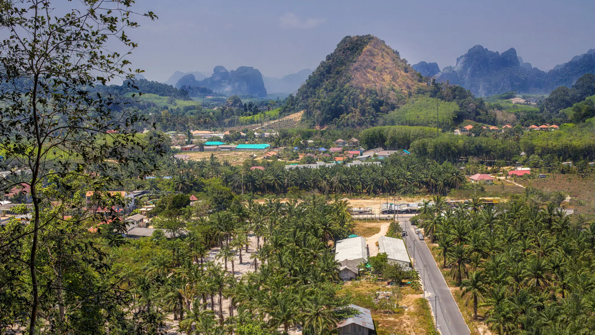 A palm-filled southern Thai neighbourhood near Krabi Town
