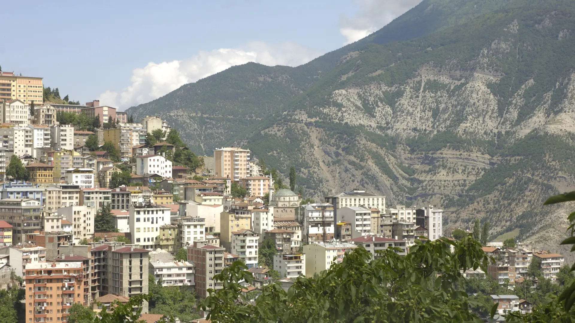 Sunlit Artvin buildings and a domed mosque climbing the hillside above the Çoruh valley