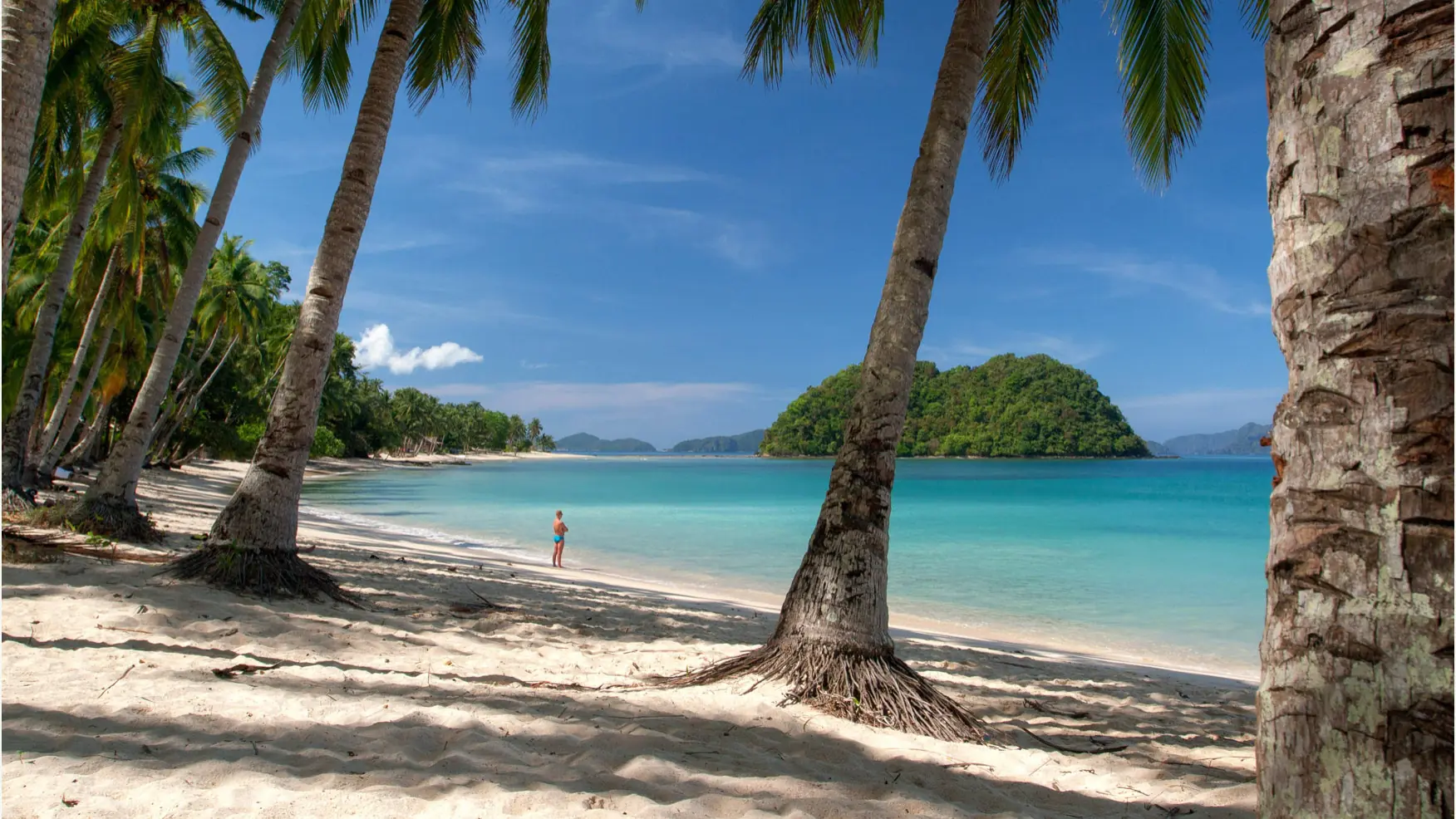 Coconut palms framing turquoise water and a small wooded island off Las Cabanas Beach, El Nido