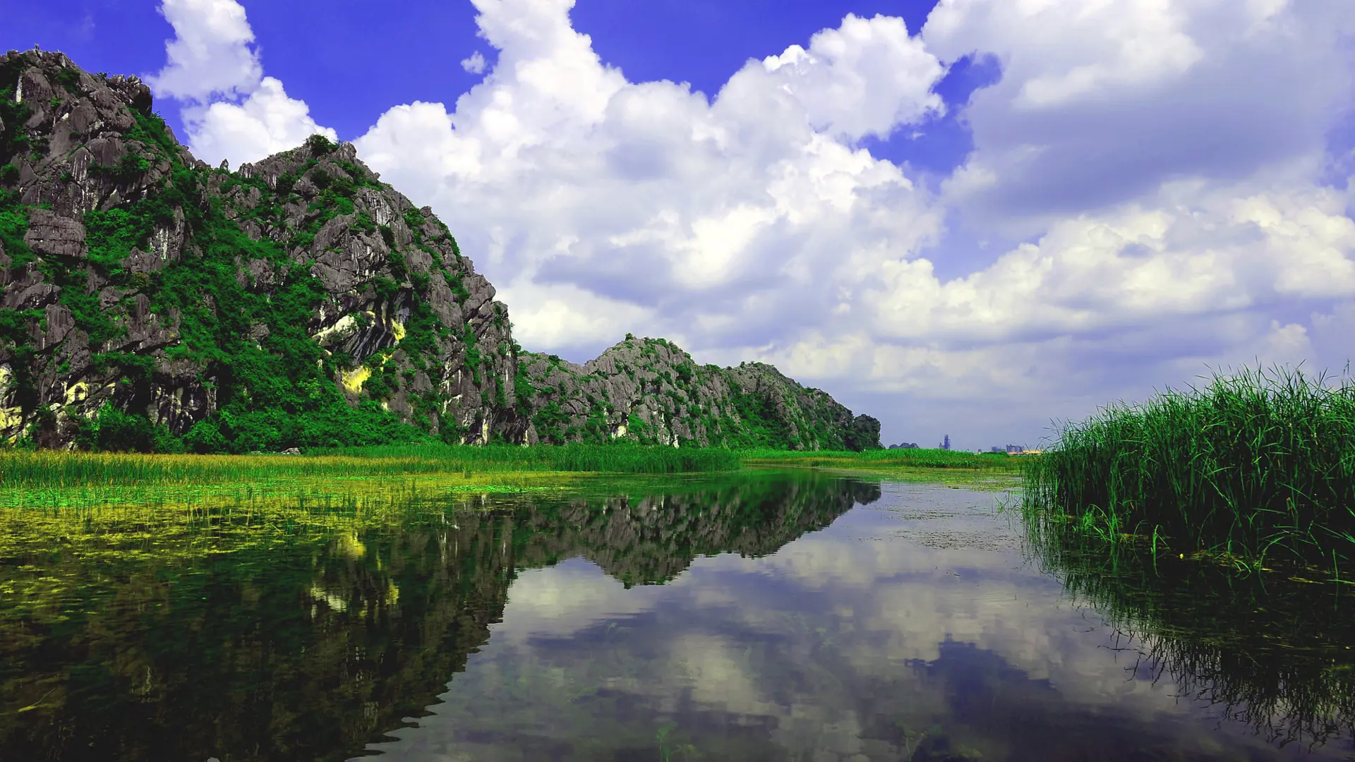 Limestone cliffs and reeds reflected in still water at Van Long Wetland Nature Reserve