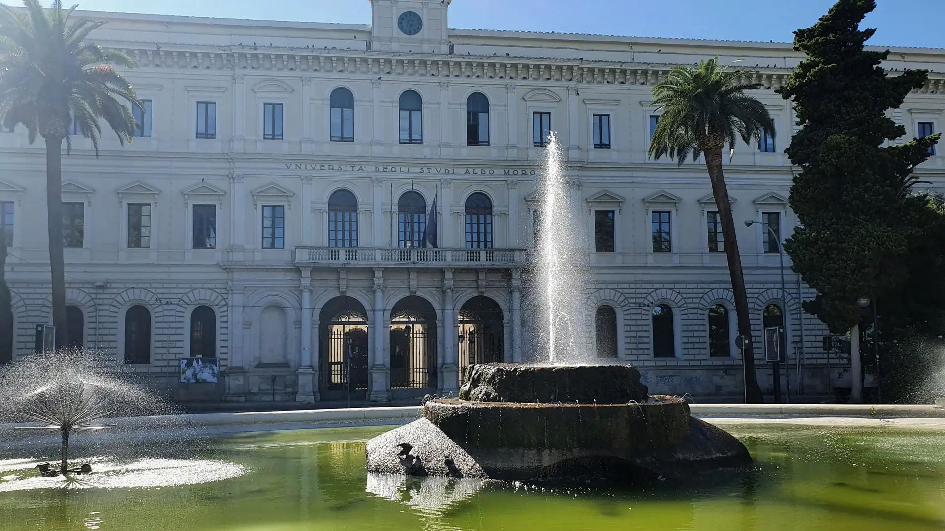 the University of Bari's grand facade and fountain framed by palm trees under a bright sky
