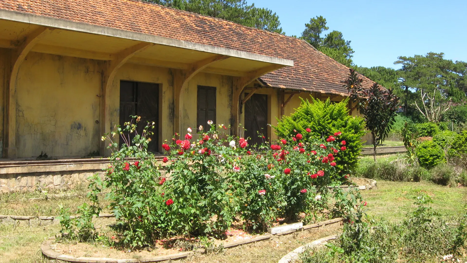 Flowers beside a yellow visitor building in Da Lat station garden, a wider city scene