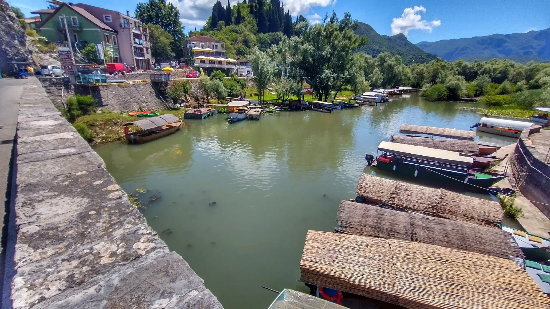 Virpazar boats on the green shore of Skadar Lake in bright daylight