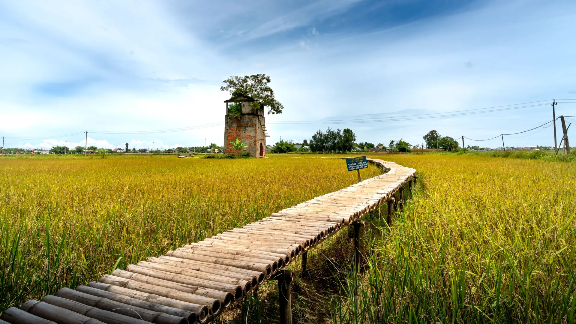 An old brick kiln and bamboo boardwalk among rice fields near Duy Vinh outside Hoi An