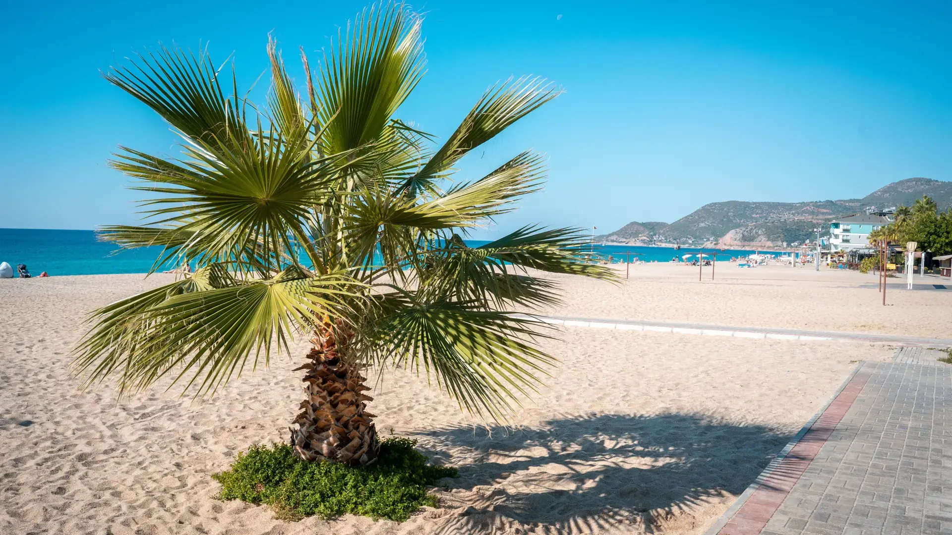 Golden Cleopatra Beach below the green and stone Alanya Castle headland