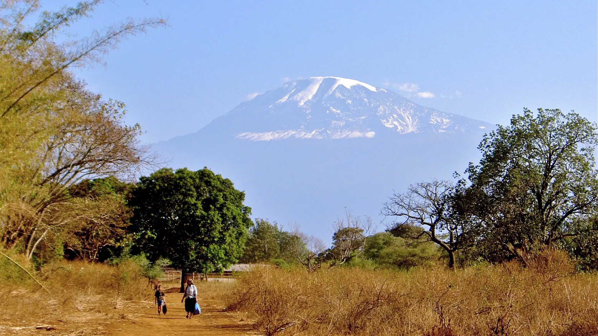 Mount Kilimanjaro beyond a sunlit road and trees near Moshi, Tanzania