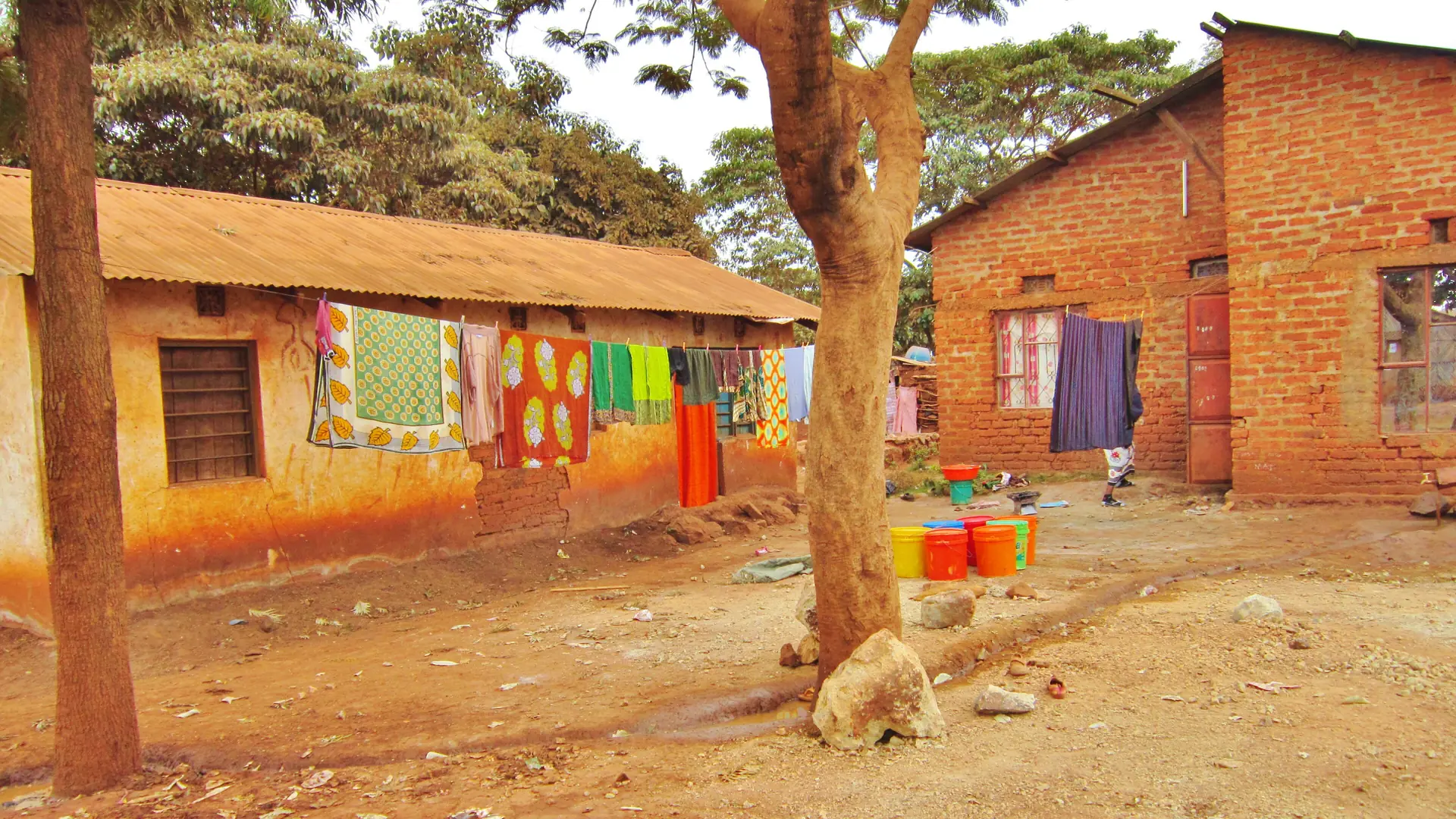 Sunlit village buildings beneath a shade tree in Karatu, Tanzania