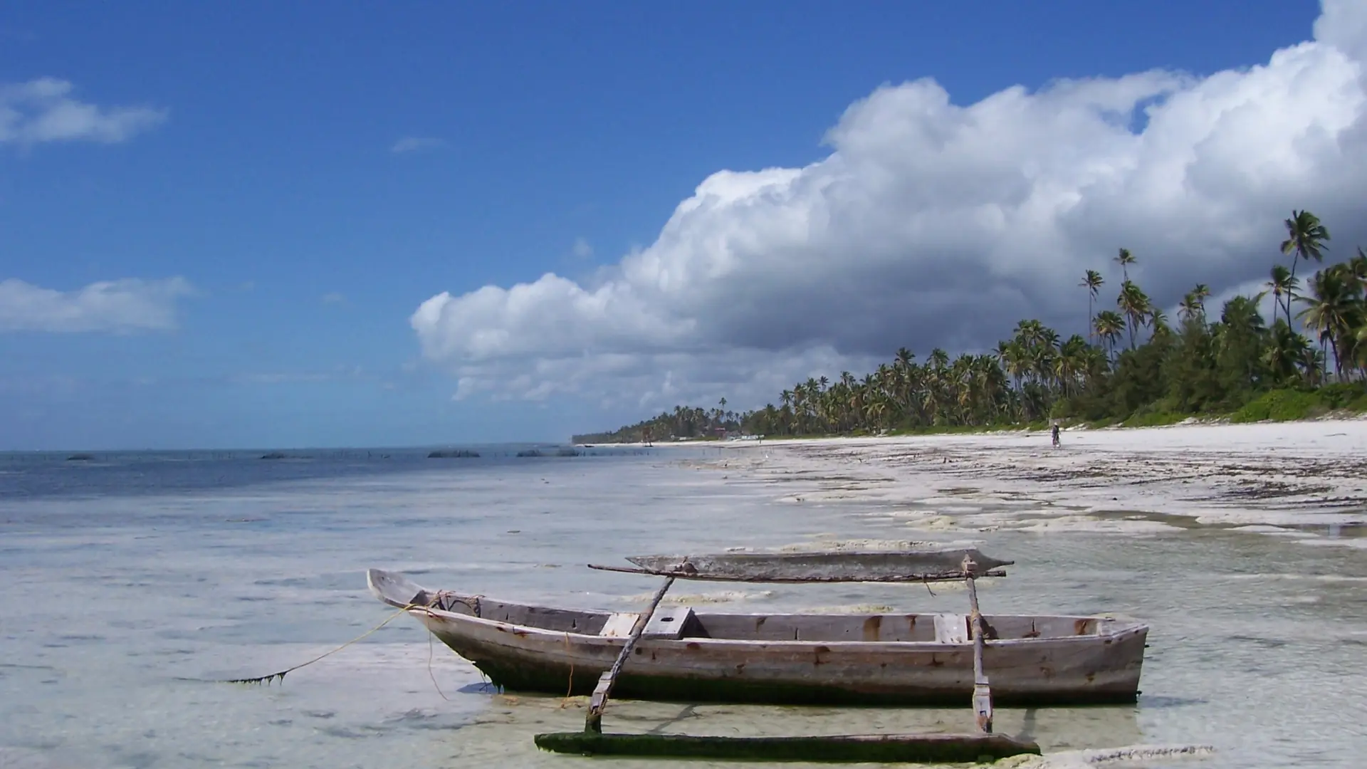 Traditional wooden boat at low tide on the Bwejuu coast