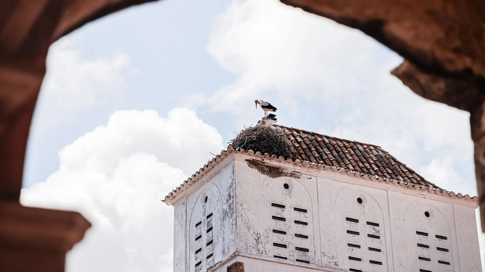 Stork nesting on a tiled Faro rooftop framed by a white historic arch