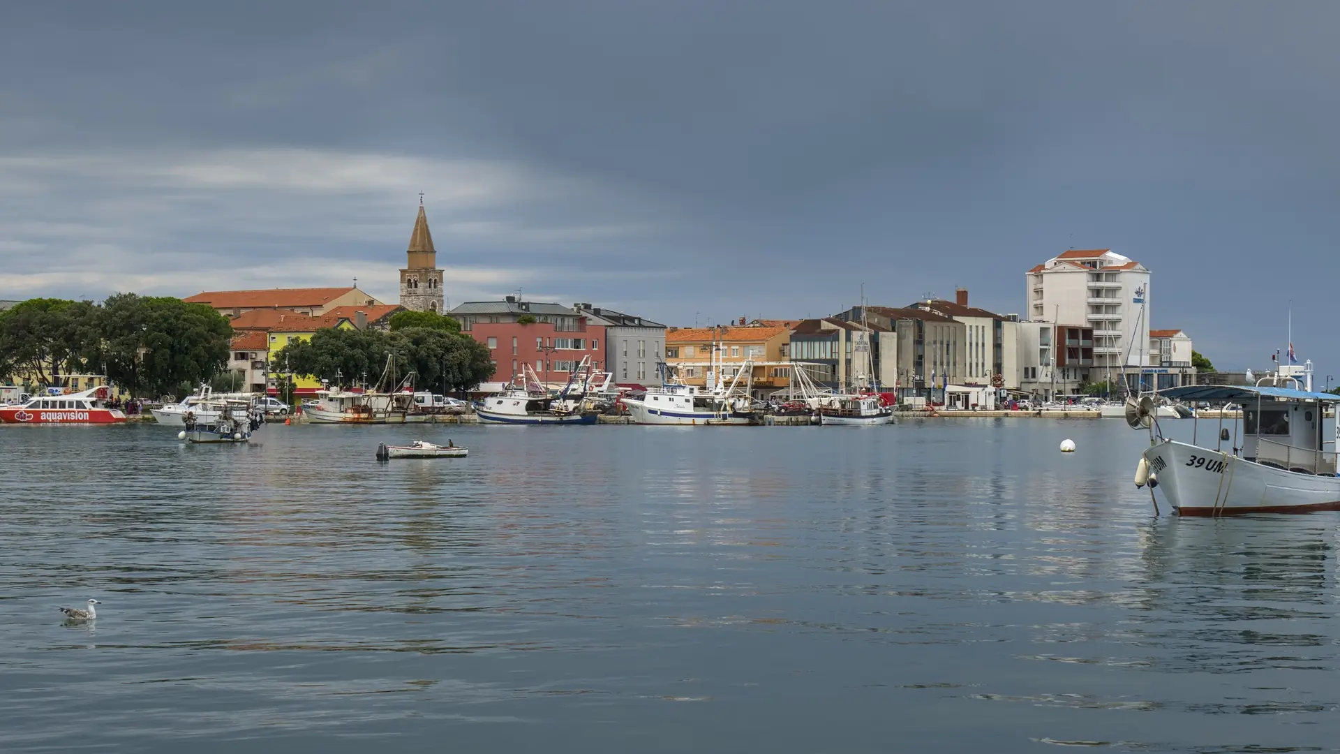 Umag waterfront curving around the old stone centre beneath a clear northern Adriatic sky