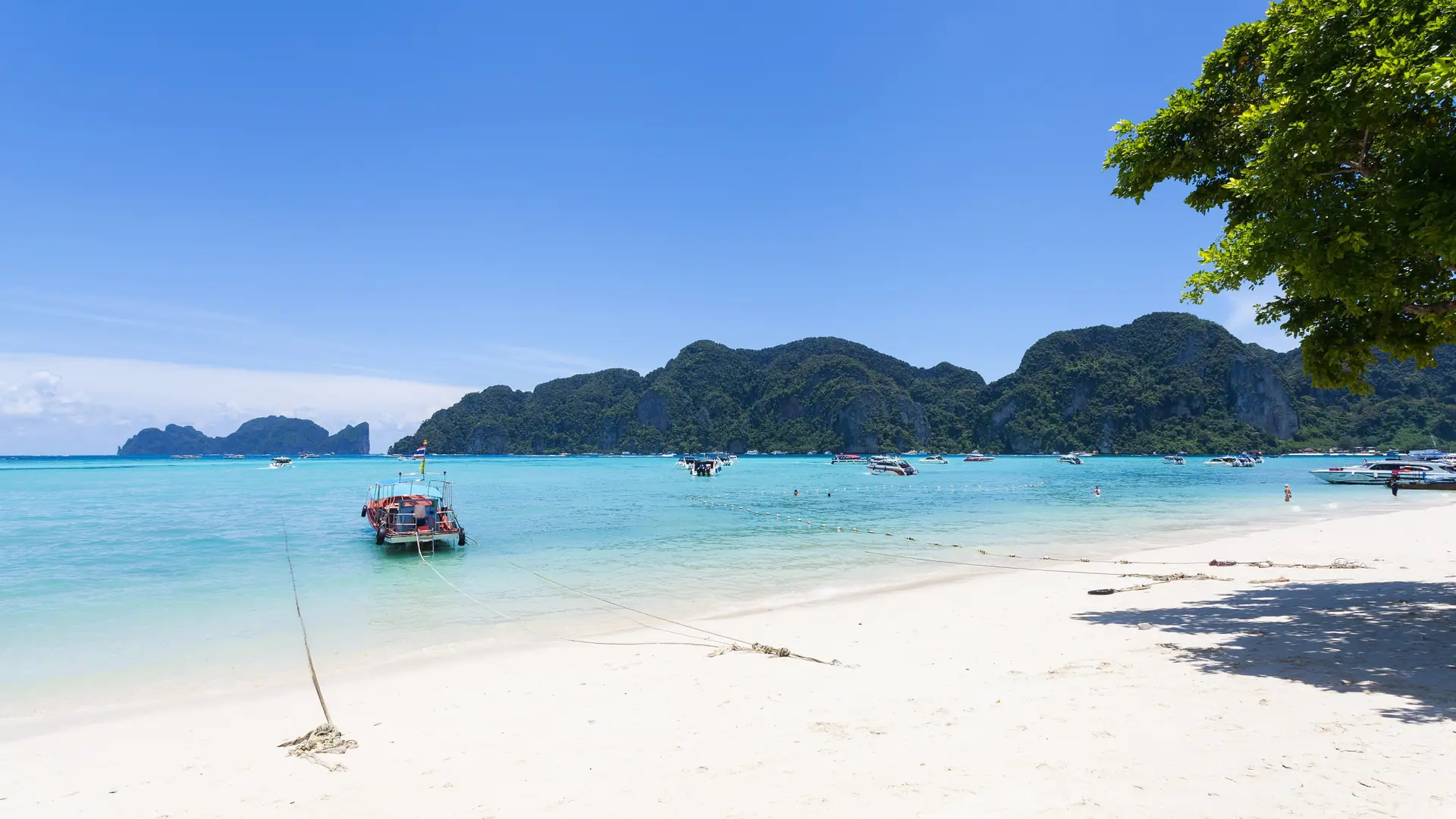 Boats gathered beside the steep green cliffs of Phi Phi Don