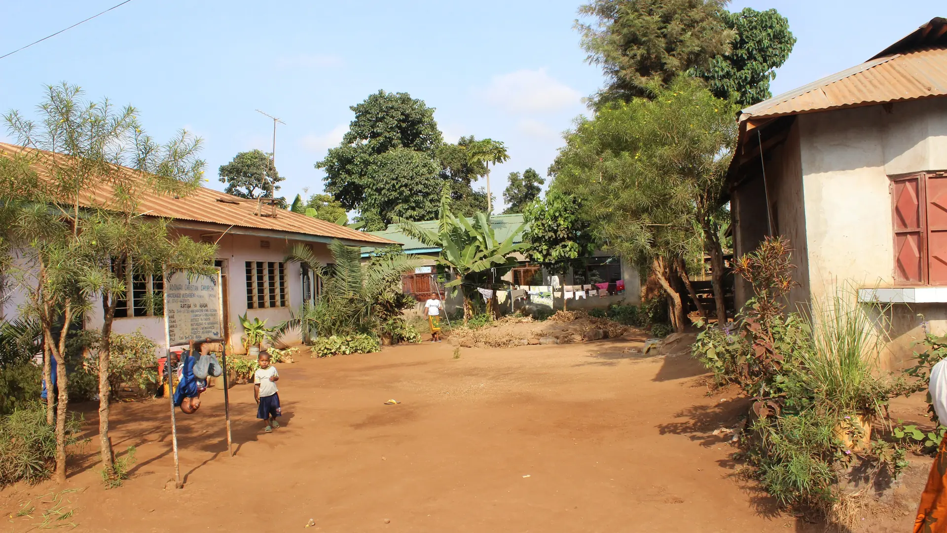 Sunlit residential street in Moshi with small houses and shade trees