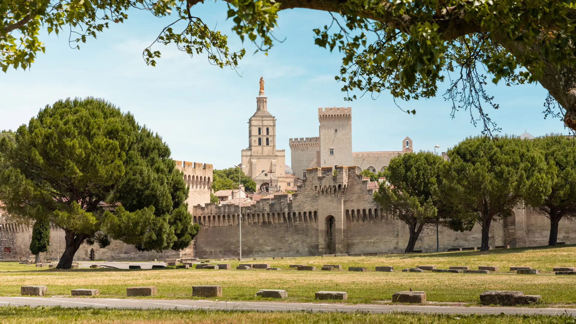 Avignon ramparts with the Papal Palace and cathedral tower behind trees