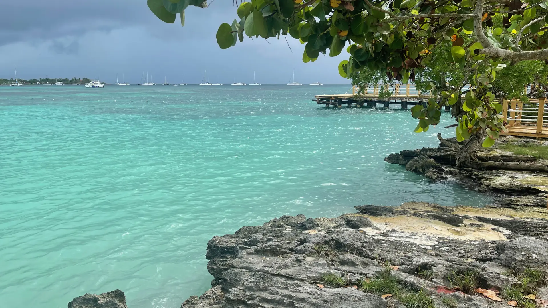 Sunny rocky Bayahíbe shoreline with clear Caribbean water